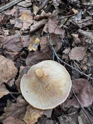 Similar image 22291166