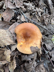 Similar image 22291167