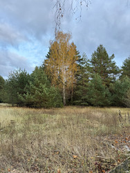 Similar image 22291168