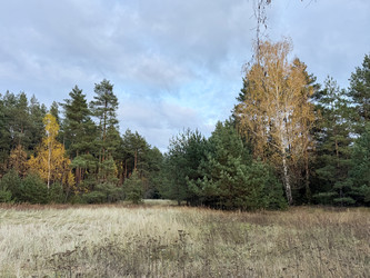 Similar image 22291169