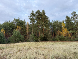 Similar image 22291170