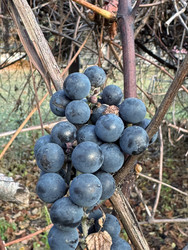 Similar image 22291176