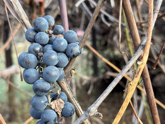 Similar image 22291177