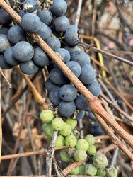 Similar image 22291178