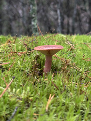 Similar image 22291183