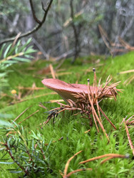 Similar image 22291184