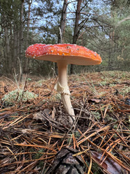 Similar image 22291185