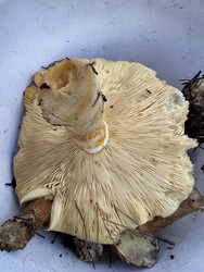 Similar image 22291186