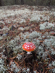 Similar image 22291187