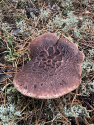 Similar image 22291189