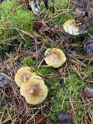 Similar image 22291190