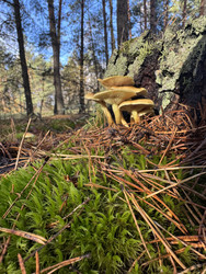 Similar image 22291191