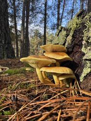 Similar image 22291192