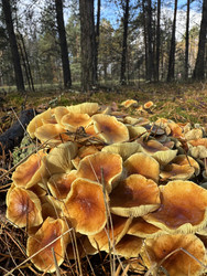 Similar image 22291194