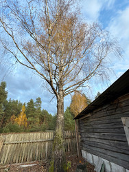 Similar image 22291196