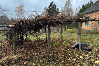 Similar image 22291197