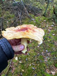 Similar image 22291198