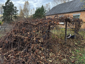 Similar image 22291204