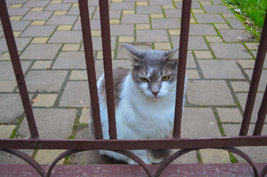 Similar image 22290127