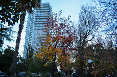 Similar image 22314798