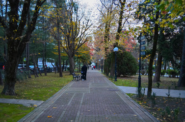 Similar image 22314799