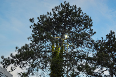 Similar image 22314803