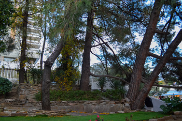 Similar image 22314804