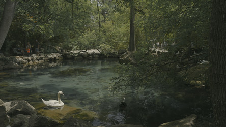 Similar image 22296642