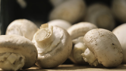 Similar image 22327728