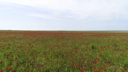 Similar image 22328198