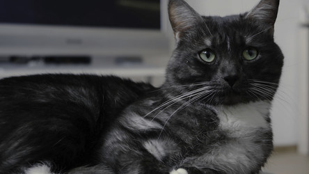 Similar image 22328869