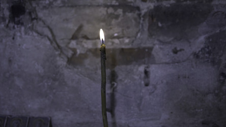 Similar image 22329052