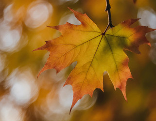 Similar image 22310625