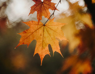 Similar image 22310673