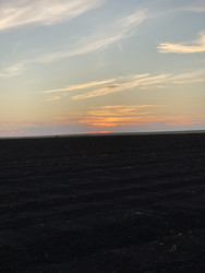 Similar image 22290469