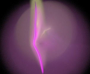 Similar image 22294747