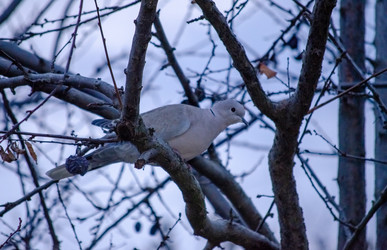 Similar image 22301574