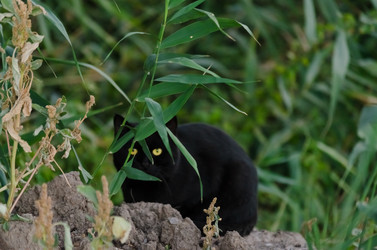 Similar image 22301575