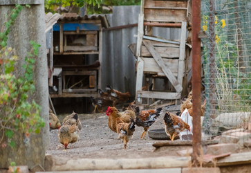 Similar image 22290134