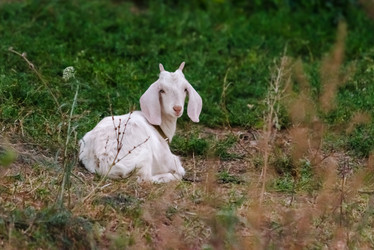 Similar image 22290135