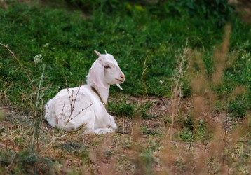 Similar image 22290136