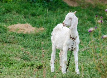 Similar image 22290137