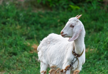 Similar image 22290138