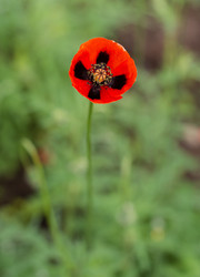 Similar image 22290139