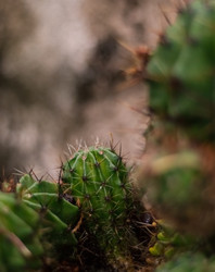 Similar image 22301576