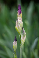 Similar image 22290142