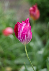 Similar image 22290143