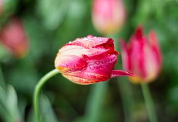 Similar image 22290144