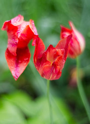 Similar image 22290145