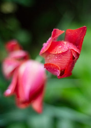 Similar image 22290146